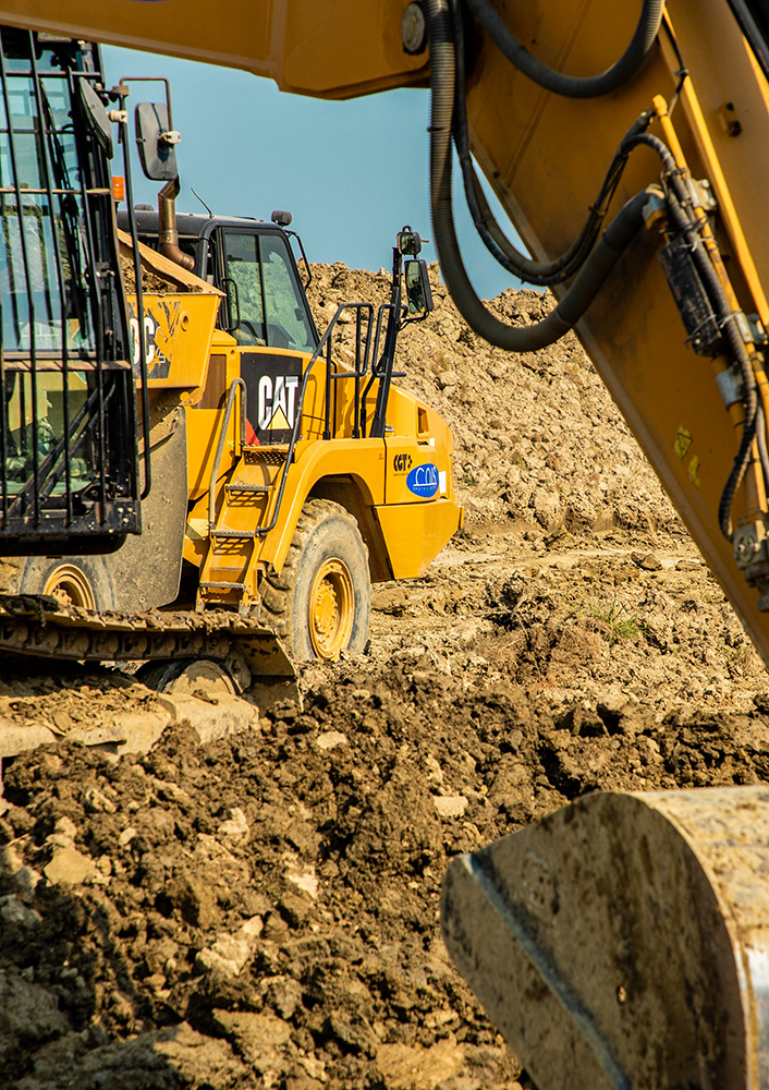 19_Cois_Venezia_CGT_Caterpillar_movimento terra_gowem